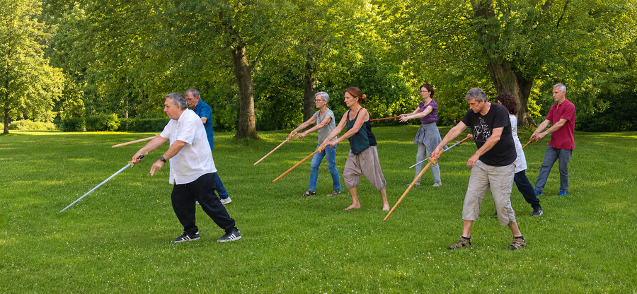 Cours collectif de Tai Chi à l'épée dans un parc